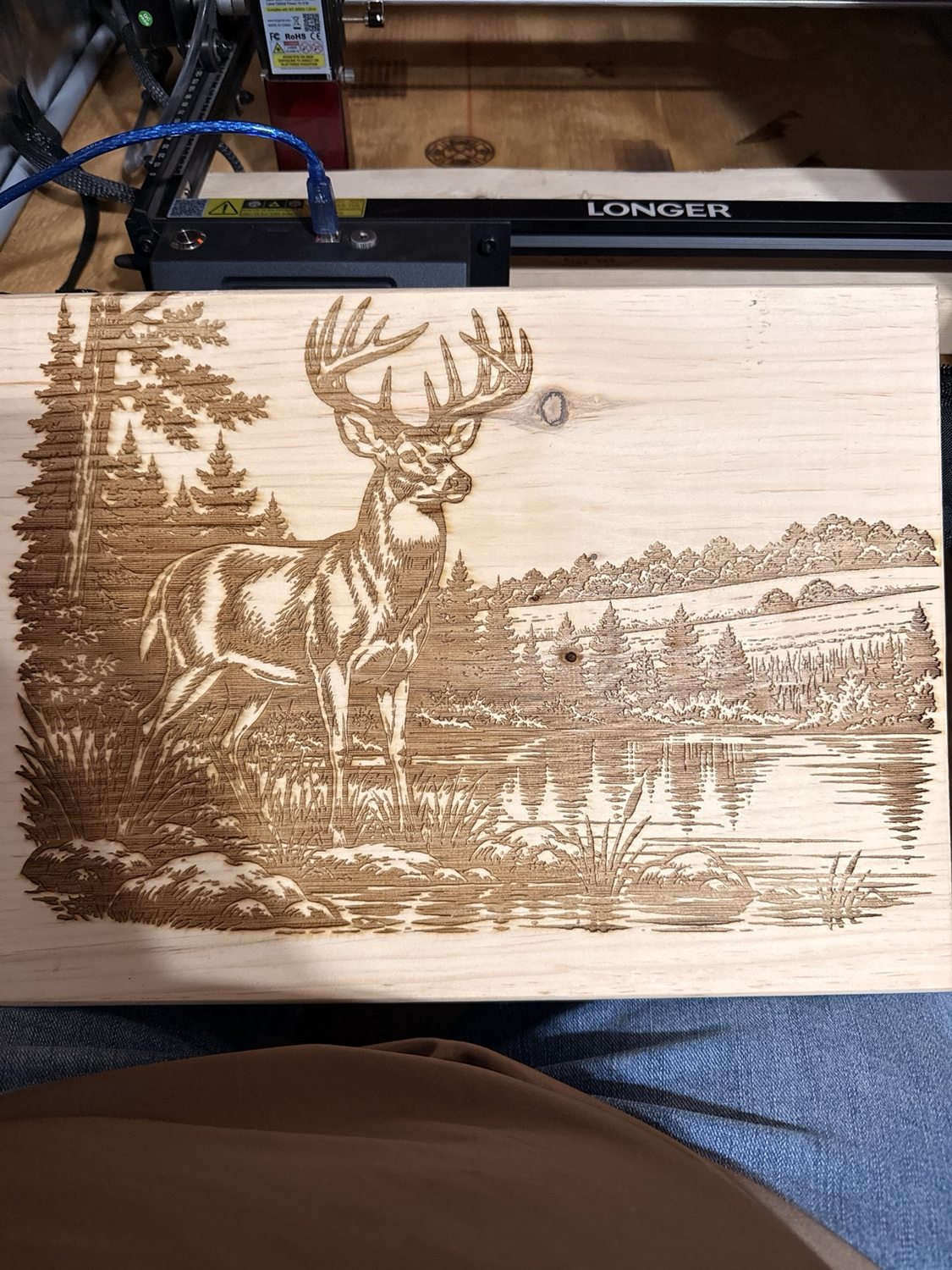 Wooden sign engraved with a whitetail buck beside a lake and trees